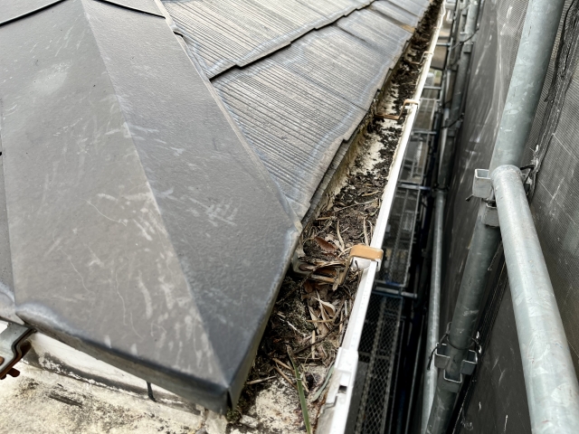 Gutter along a sloped, dark slate roof filled with leaves and debris beside metal scaffolding during maintenance work